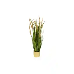 Netto Marken-Discount hjh OFFICE Kunstpflanze CORTADERIA I Kunststoff Angebot