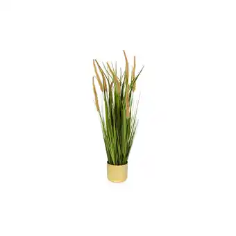 Netto Marken-Discount hjh OFFICE Kunstpflanze CORTADERIA I Kunststoff Angebot