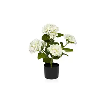 Netto Marken-Discount hjh OFFICE Kunstpflanze HYDRANGEA Kunststoff Angebot