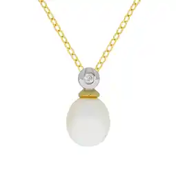 Netto Marken-Discount Zeeme Pearls Halskette 925 Silber zweifarbig mit Perle weiß und Zirkonia Angebot