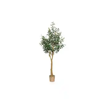 Netto Marken-Discount hjh OFFICE Kunstpflanze OLIVE II Kunststoff Angebot