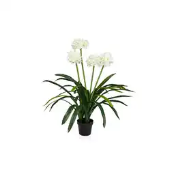 Netto Marken-Discount hjh OFFICE Kunstpflanze AGAPANTHUS Kunststoff Angebot