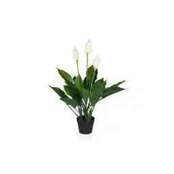 Netto Marken-Discount hjh OFFICE Kunstpflanze SPATHIPHYLLUM Kunststoff Angebot