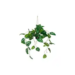 Netto Marken-Discount hjh OFFICE Kunstpflanze MONSTERA CLIMB Kunststoff Angebot