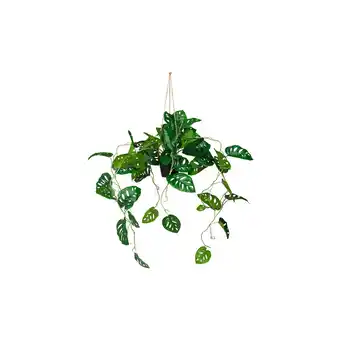 Netto Marken-Discount hjh OFFICE Kunstpflanze MONSTERA CLIMB Kunststoff Angebot