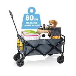 Netto Marken-Discount EASYmaxx Bollerwagen faltbar grau Angebot