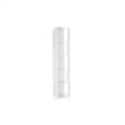 Netto Marken-Discount hjh LIVING Regal KALAG S Melaminharzbeschichtete Spanplatte Angebot