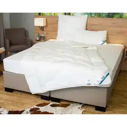 Netto Marken-Discount BeCoBeCo Medibett MF50 Made in Green135 x 200 cm4-Jahreszeiten Angebot