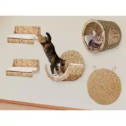 Netto Marken-Discount Rohrschneider Kletterwand Premium Angebot