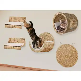 Netto Marken-Discount Rohrschneider Kletterwand Premium Angebot