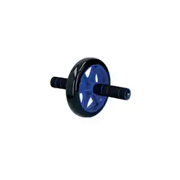 Netto Marken-Discount Einrädriger Bauchmuskel-Trainingsroller, max. 100 kg - speziell Angebot