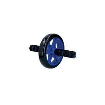 Netto Marken-Discount Einrädriger Bauchmuskel-Trainingsroller, max. 100 kg - speziell Angebot
