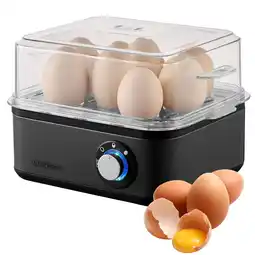 Netto Marken-Discount Steinborg Eierkocher Edelstahl für bis zu 8 Eier 500 W Angebot