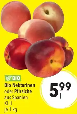 CITTI Markt Bio Nektarinen oder Pfirsiche Angebot