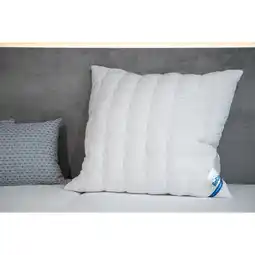 Netto Marken-Discount BeCoKopfkissen BeCo Double Deluxe gesteppt40 x 80 cm Angebot