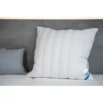 Netto Marken-Discount BeCoKopfkissen BeCo Double Deluxe gesteppt40 x 80 cm Angebot