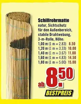 B1 Discount Baumarkt Schilfrohrmatte Angebot