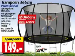 Wreesmann Trampolin 366cm Professional Angebot