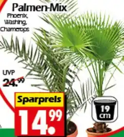 Wreesmann Palmen-Mix Angebot