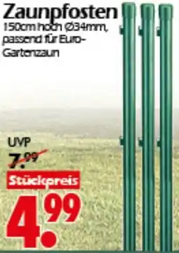 Wreesmann Zaunpfosten Angebot