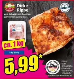Norma Dicke Rippe Angebot