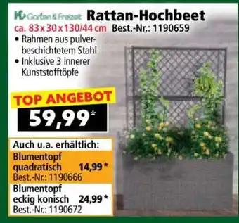 Norma Rattan-Hochbeet Angebot