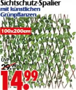 Wreesmann Sichtschutz-Spalier Angebot