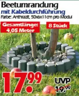 Wreesmann Beetumrandung Angebot
