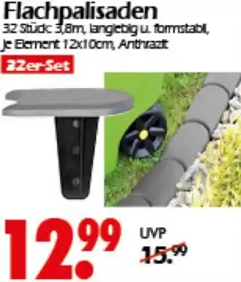 Wreesmann Flachpalisaden Angebot