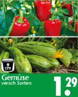 Wreesmann Gemüse Angebot