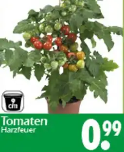 Wreesmann Tomaten Angebot