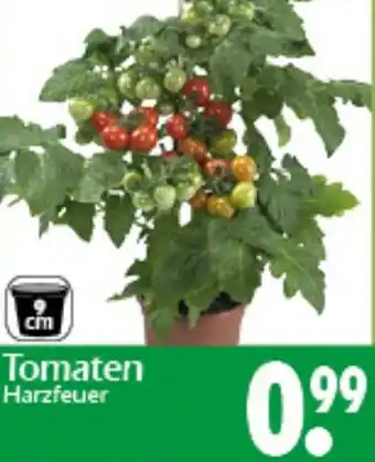 Wreesmann Tomaten Angebot