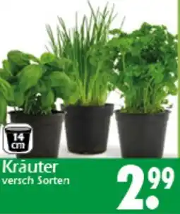 Wreesmann Kräuter Angebot