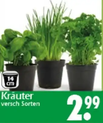 Wreesmann Kräuter Angebot