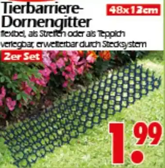 Wreesmann Tierbarriere Dornengitter Angebot