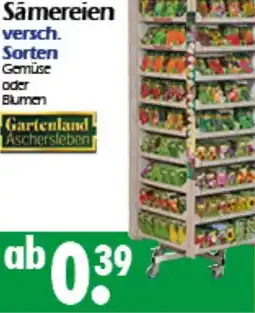 Wreesmann Samereien Angebot
