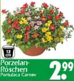 Wreesmann Porzelan Röschen Angebot