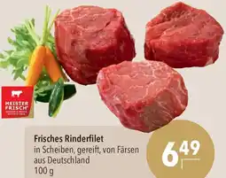 CITTI Markt Frisches Rinderfilet Angebot