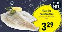 CITTI Markt Frisches Schollenfilet Angebot