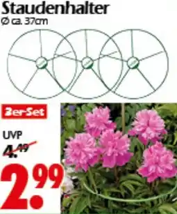 Wreesmann Staudenhalter Angebot
