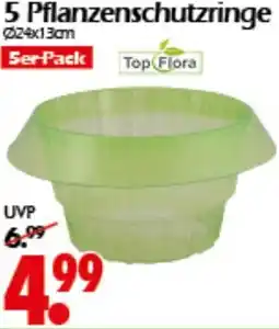 Wreesmann 5 Pflanzenschutzringe Angebot