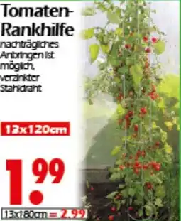 Wreesmann Tomaten Rankhilfe Angebot