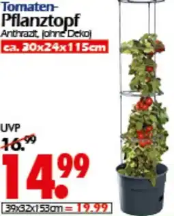 Wreesmann Tomaten Pflanztopf Angebot