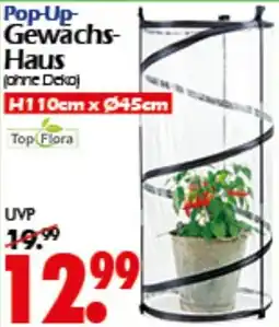 Wreesmann Pop-Up Gewächs Haus Angebot