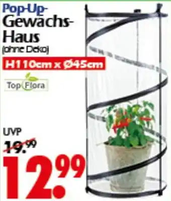Wreesmann Pop-Up Gewächs Haus Angebot