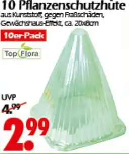 Wreesmann 10 Pflanzenschutzhüte Angebot