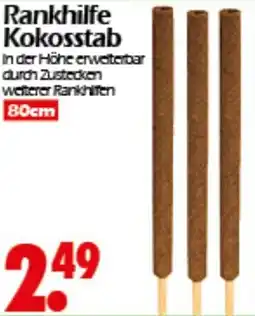Wreesmann Rankhilfe Kokosstab Angebot