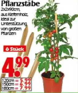 Wreesmann Pflanzstābe Angebot