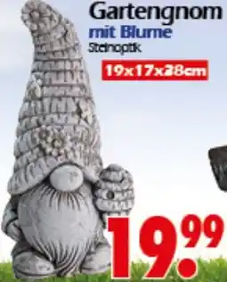 Wreesmann Gartengnom mit Blume Angebot