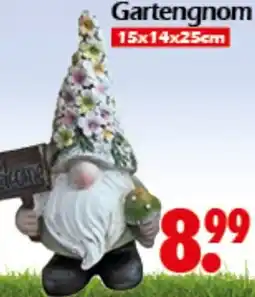 Wreesmann Gartengnom Angebot